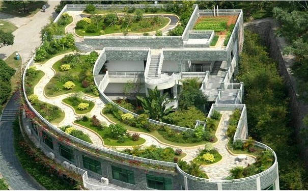 如何选择屋顶绿化用的植物